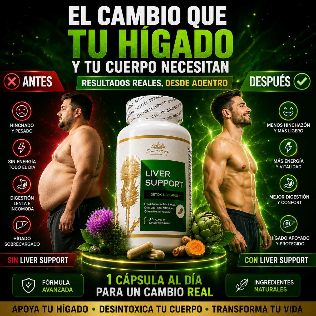 Liver Support® | Dile Adiós a la Pesadez y Cuida tu Hígado