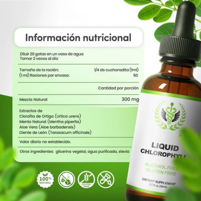 CLOROFILA BENEVOLENT X 60 ML