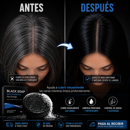 Y - BARRA DE SHAMPOO NEGRO ANTI CANAS
