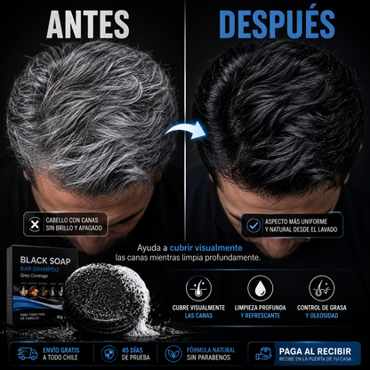Y - BARRA DE SHAMPOO NEGRO ANTI CANAS